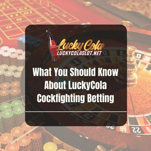 What You Should Know About LuckyCola Cockfighting Betting - Lucky Cola