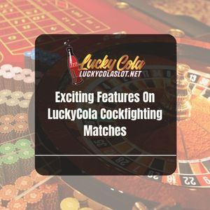 Exciting Features On LuckyCola Cockfighting Matches - Lucky Cola