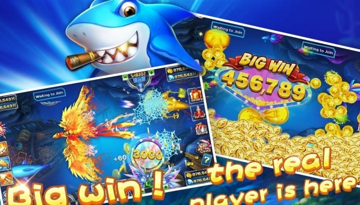 The Social Aspect of LuckyCola Fishing Games - Lucky Cola
